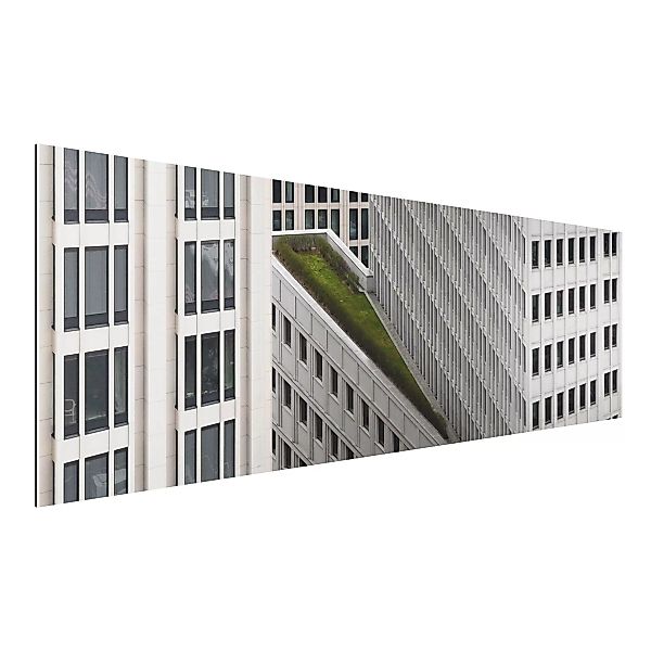Alu-Dibond Bild Schwarz-Weiß - Panorama Das grüne Element günstig online kaufen