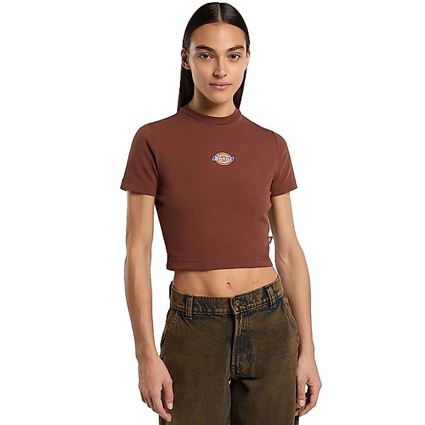 Dickies Maple Valley Tee günstig online kaufen