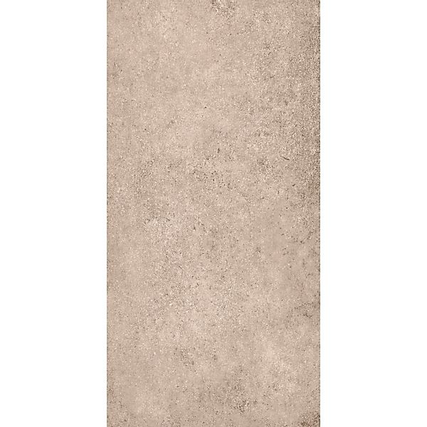 Bodenfliese Feinsteinzeug 60 cm x 30 cm günstig online kaufen