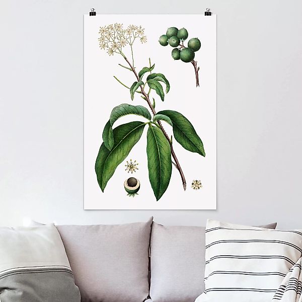 Poster - Hochformat Laubwerk mit Blüten II günstig online kaufen