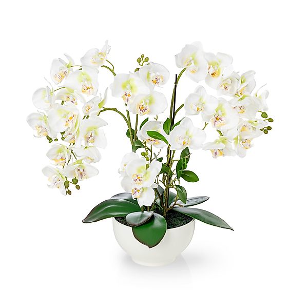 Kunstorchidee PASCH® XXL Orchidee künstlich wie günstig online kaufen