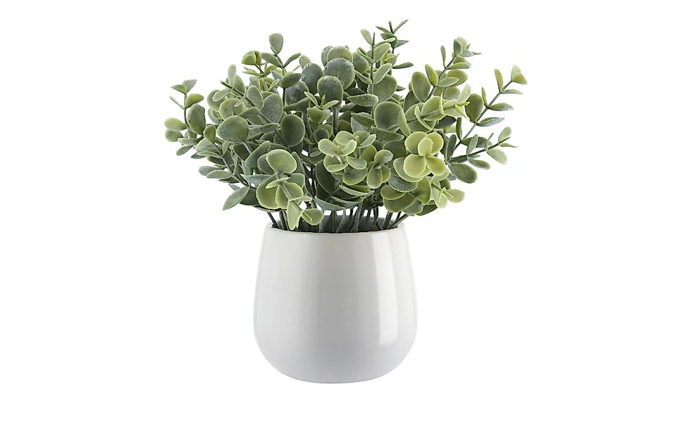 Kunstblume  Eukalyptus ¦ grün ¦ Schaumstoff, Keramik, Kunststoff, Keramik, günstig online kaufen