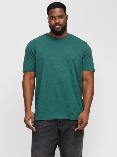 Jack & Jones PlusSize Rundhalsshirt JJEORGANIC günstig online kaufen