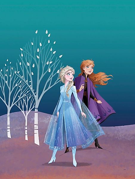 Komar Wandbild Frozen Sisters 30 x 40 cm günstig online kaufen