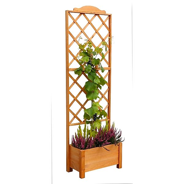 Pflanzkasten Botanica mit Spalier 210 cm x 69 cm x 32 cm günstig online kaufen