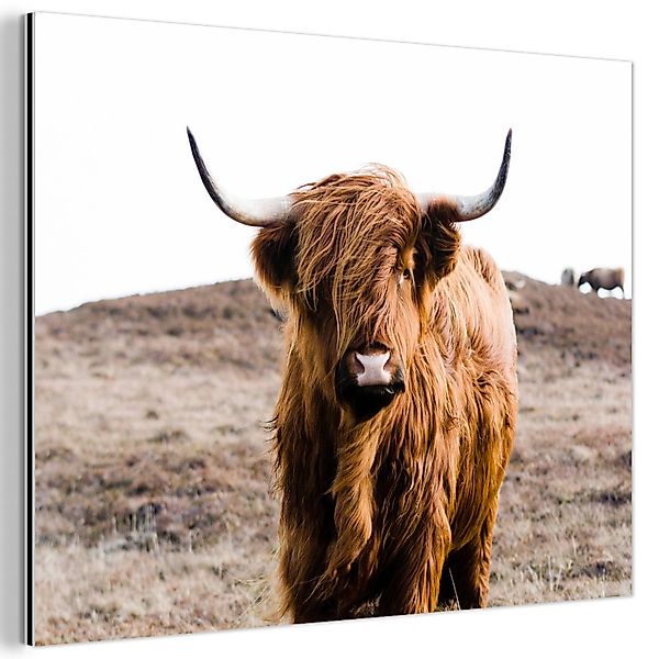 MuchoWow Metallbild Schottische Highlander - Landschaft günstig online kaufen