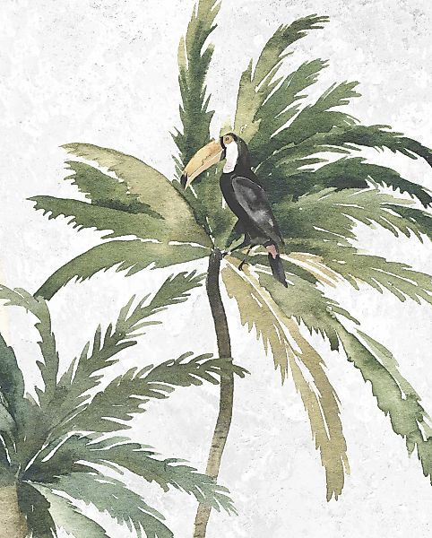 Komar Bild "Tropical Toucan", Natur, (1 St.), Wandbild zur Dekoration - ohn günstig online kaufen