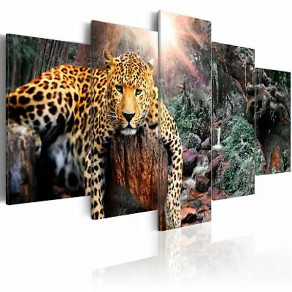 artgeist Wandbild Leopard Relaxation mehrfarbig Gr. 200 x 100 günstig online kaufen