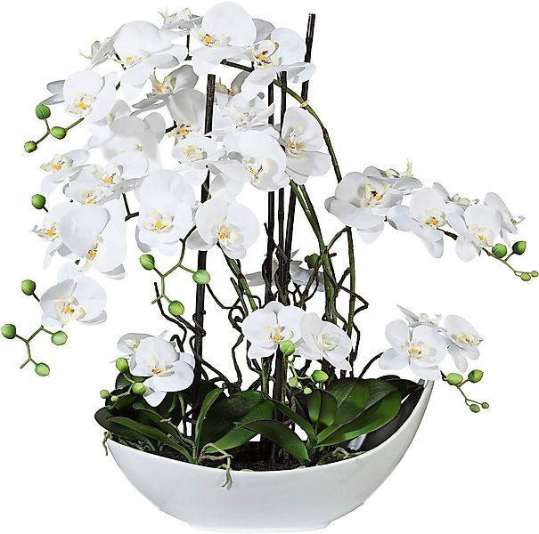 Creativ green Kunstorchidee "Phalaenopsisarrangement, 68cm weiss", in Keram günstig online kaufen