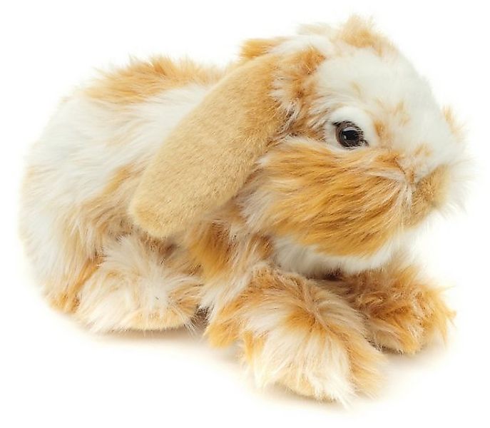 Uni-Toys Kuscheltier Löwenkopf-Kaninchen mit hängenden Ohren - 23 cm - vers günstig online kaufen