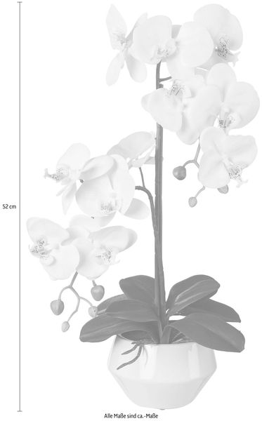 Kunstpflanze Orchidee, Creativ green, Höhe 52 günstig online kaufen