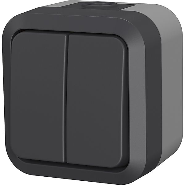 Doppel-Wechselschalter Aqua Pro günstig online kaufen