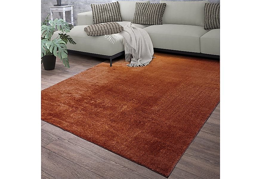 TT Home Teppich Diele, Esszimmer, Flur, Schlafzimmer, Wohnzimmer, Rechtecki günstig online kaufen