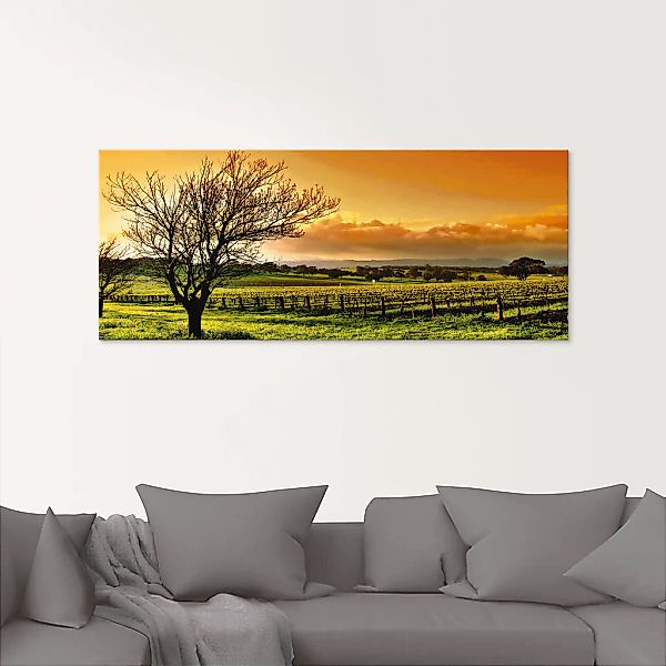 Artland Glasbild »Landschaft mit Weinbergen«, Felder, (3 St.), in verschied günstig online kaufen