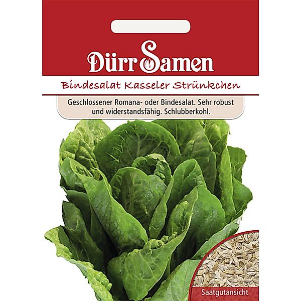 Dürr Samen Bindesalat Kasseler Strünkchen Saatgut günstig online kaufen