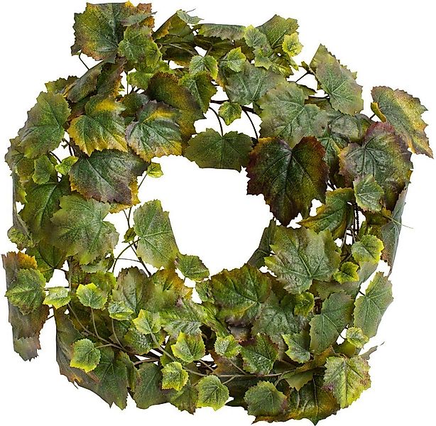 Kunstkranz Weinlaubkranz, Botanic-Haus, Höhe 9 cm günstig online kaufen