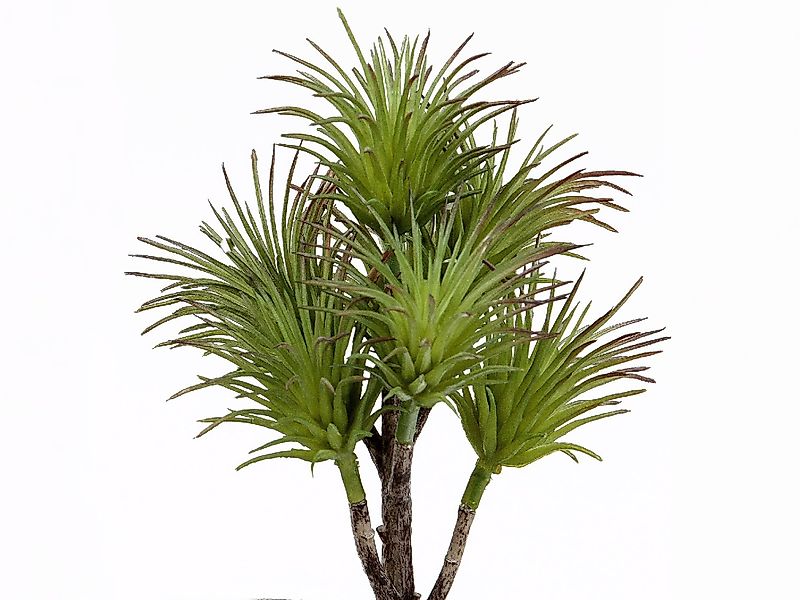 Kunstblume Frühlingszeit, formano, Höhe 20 cm günstig online kaufen