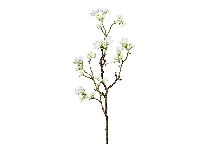 Kunstzweig Künstlicher Scheinquittenzweig, ca. 51cm. Kunstblume Quitte weiß günstig online kaufen