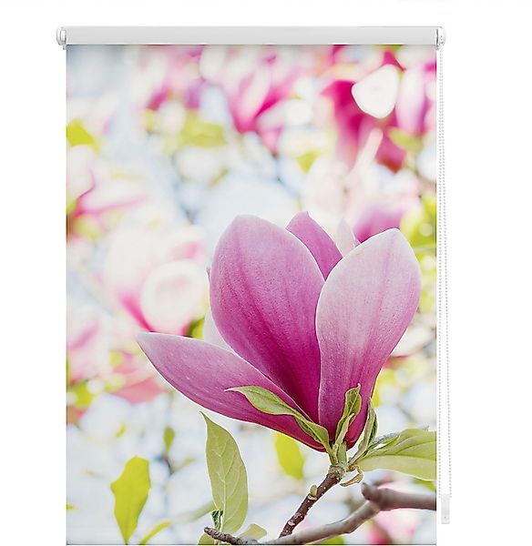 Seitenzugrollo Klemmfix Motiv Magnolie, LICHTBLICK ORIGINAL, günstig online kaufen