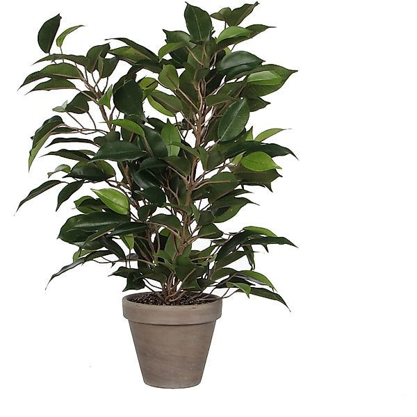 Kunstpflanze Mica Kunstpflanze Ficus Natasja grün im Topf 40 x, Mica Decora günstig online kaufen