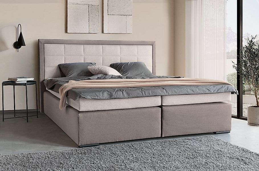 COLLECTION AB Boxspringbett 30 Jahre Jubiläums-Modell Athena, in H2,H3 & H4 günstig online kaufen