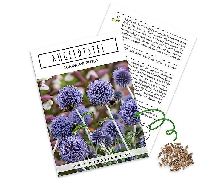 HappySeed Blumensamen Kugeldistel Samen - Echinops ritro, Blumen günstig online kaufen