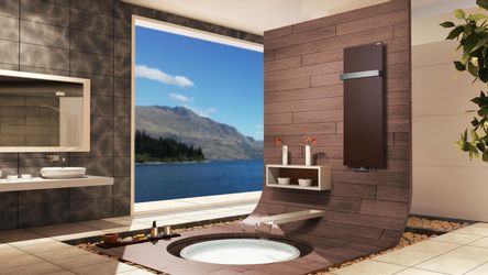 Szagato Badheizkörper Badheizkörper Design Mirror Steel günstig online kaufen