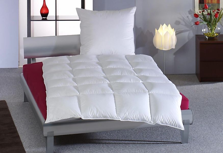 Haeussling Daunenbettdecke "Swiss Royal, Bettdecken für Sommer und Winter, günstig online kaufen