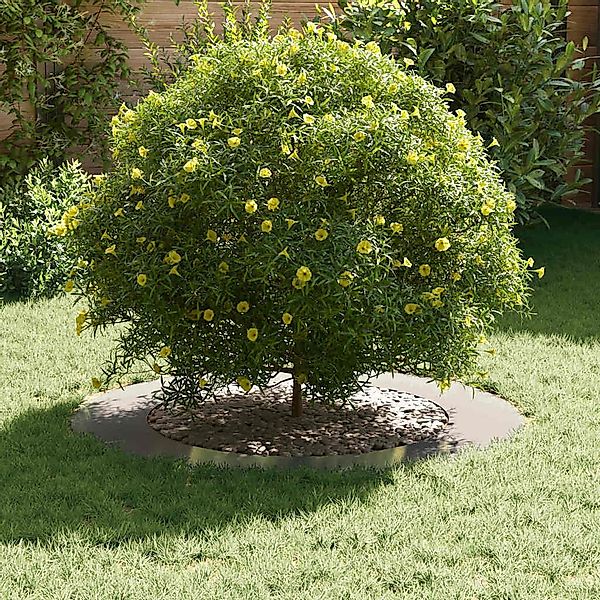 vidaXL Blumentopf Flache Baumringe 5 pcs günstig online kaufen