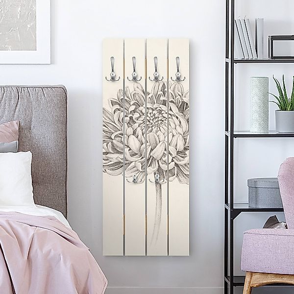 Wandgarderobe Botanische Studie Chrysantheme II günstig online kaufen