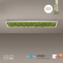 JUST LIGHT Deckenleuchte »GREEN KNUT« LED-Board 1 Stk. Warmweiß günstig online kaufen