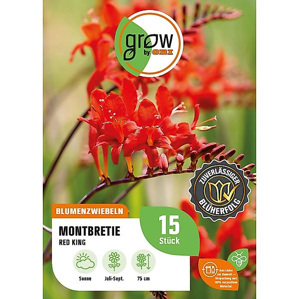 GROW by OBI Montbretia Red King Höhe ca. 75 cm Crocosmia crocosmiiflora günstig online kaufen