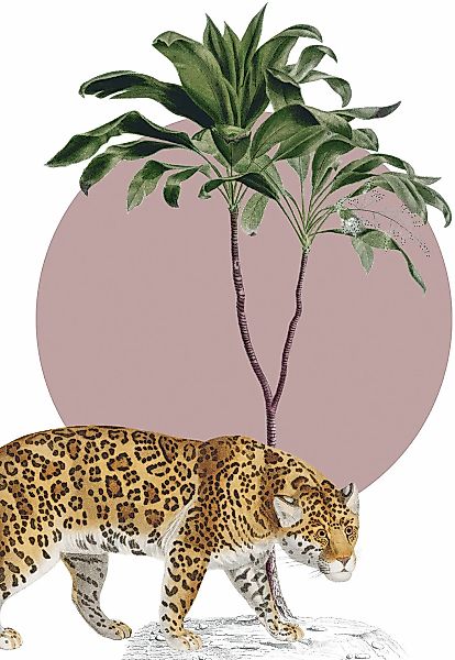 Komar Bild "Botanical Garden Jaguar" Natur 1 Stk. tlg. Wandbild zur Dekorat günstig online kaufen