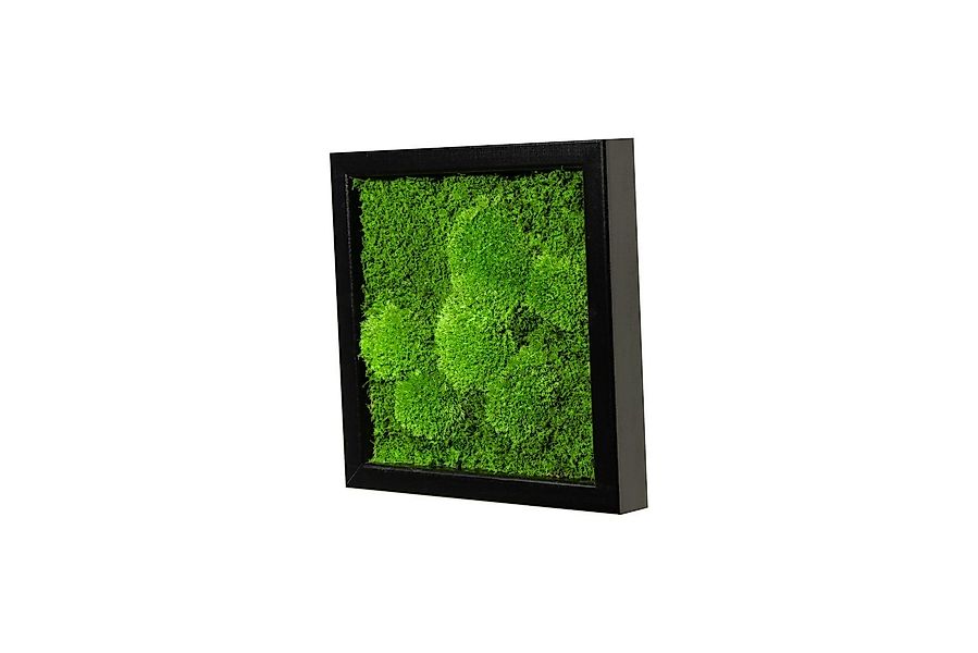 Moos-Design Bild Moosbild Fifty Fifty Design günstig online kaufen