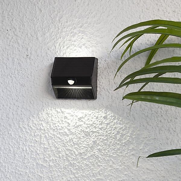 LED Solar Wandleuchte Wally in Schwarz 0,06W 50lm IP44 mit Bewegungsmelder günstig online kaufen