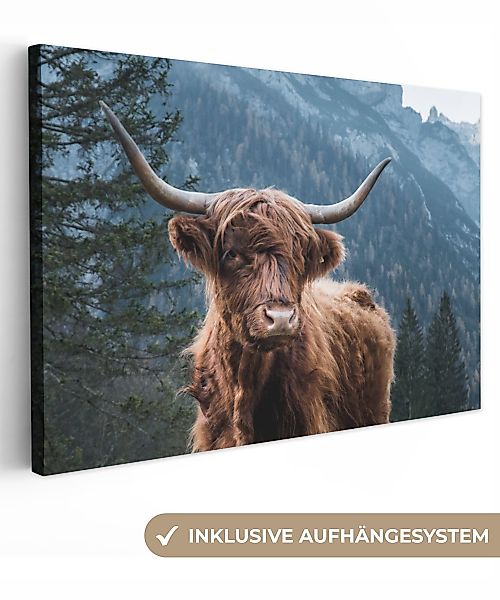 OneMillionCanvasses® Leinwandbild Schottischer Highlander - Wald günstig online kaufen