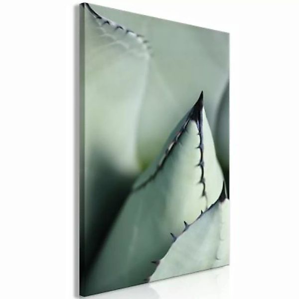 artgeist Wandbild Green Spikes (1 Part) Vertical grau/grün Gr. 40 x 60 günstig online kaufen
