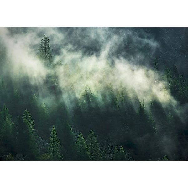 Komar Vliesfototapete Misty Crowns 350 cm x 250 cm günstig online kaufen