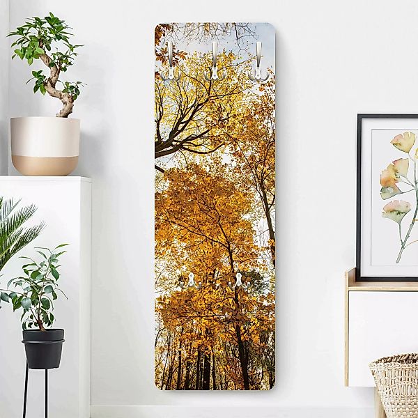 Wandgarderobe Bäume in herbstlicher Färbung günstig online kaufen