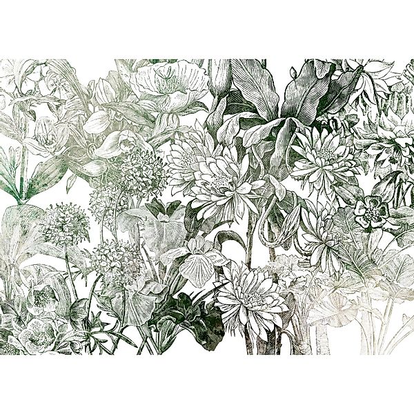 Komar Vliesfototapete Valerie 350 cm x 250 cm günstig online kaufen