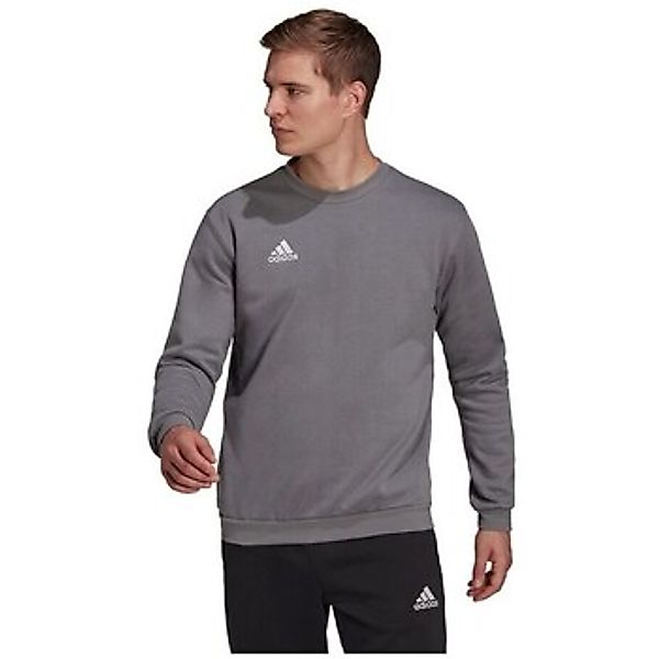 adidas  Sweatshirt Entrada 22 günstig online kaufen