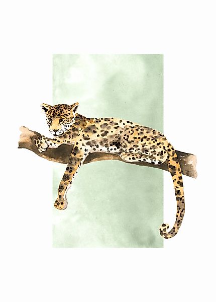 Komar Poster "Lazy Leopard", (1 St.) günstig online kaufen