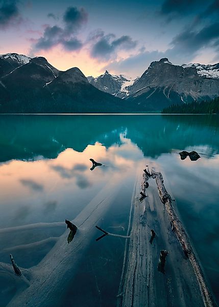 Vlies Fototapete Burning Emerald 200x280 cm günstig online kaufen