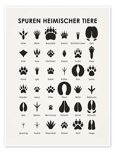 Posterlounge Poster Iris Luckhaus, Spuren heimischer günstig online kaufen