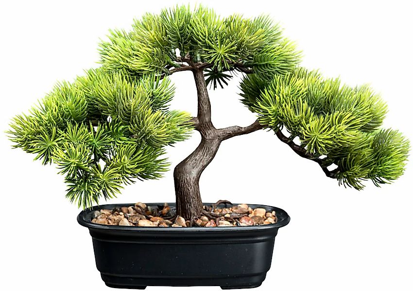 Creativ green Kunstbonsai "Bonsai Kiefer", mit Deko-Kies günstig online kaufen