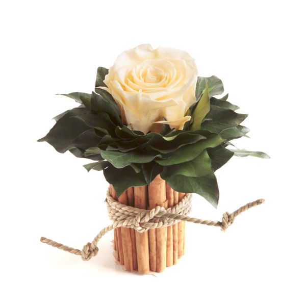 Kunstblumenstrauß Blumenstrauß Zimtbecher Infinity Rosen Blumengesteck, günstig online kaufen