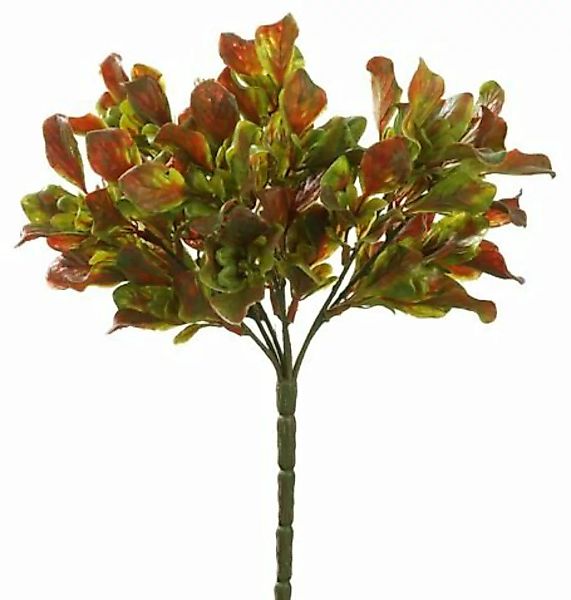 Flower & Style Kunstpflanzen & -blumen Blätterbusch grün-maroonbraun 25 cm günstig online kaufen