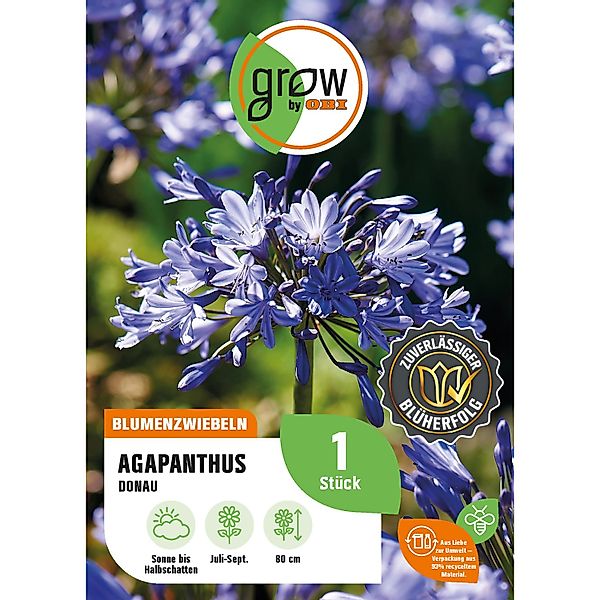 GROW by OBI Agapanthus Donau Höhe ca. 80 cm Agapanthus africanus günstig online kaufen