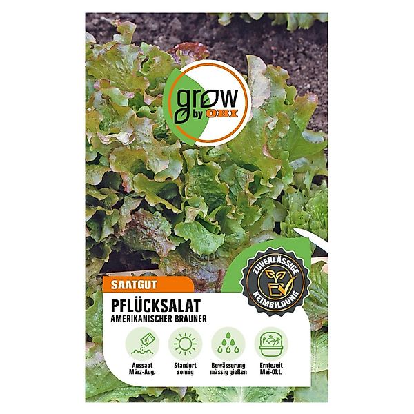 GROW by OBI Pflücksalat Amerikanischer Brauner günstig online kaufen