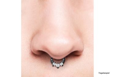 PIERCINGLINE Nasenpiercing Chirurgenstahl Segmentring Clicker GEDREHT günstig online kaufen